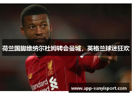 荷兰国脚维纳尔杜姆转会曼城，英格兰球迷狂欢